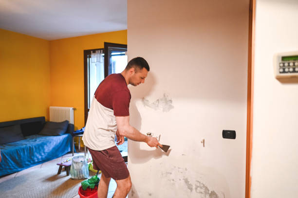 Best Mold Remediation  in Covington, TN